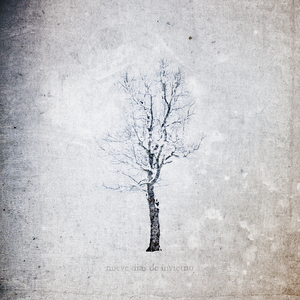 丝袜美女被❌出水视频
